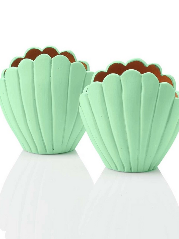 small seashell planter