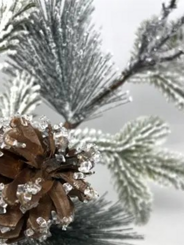 25" snowed pine iced twig/cone spray