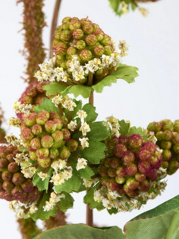 Wild Raspberry Floral Pick