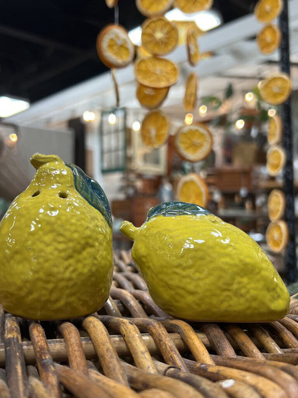 Hand-Painted Salt & Pepper Shakers, Set of 2