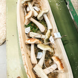 Woodland Paper Mache Mushroom Ornament - light green