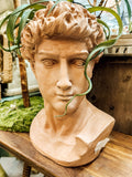 Large Terra Cotta painted David Bust
