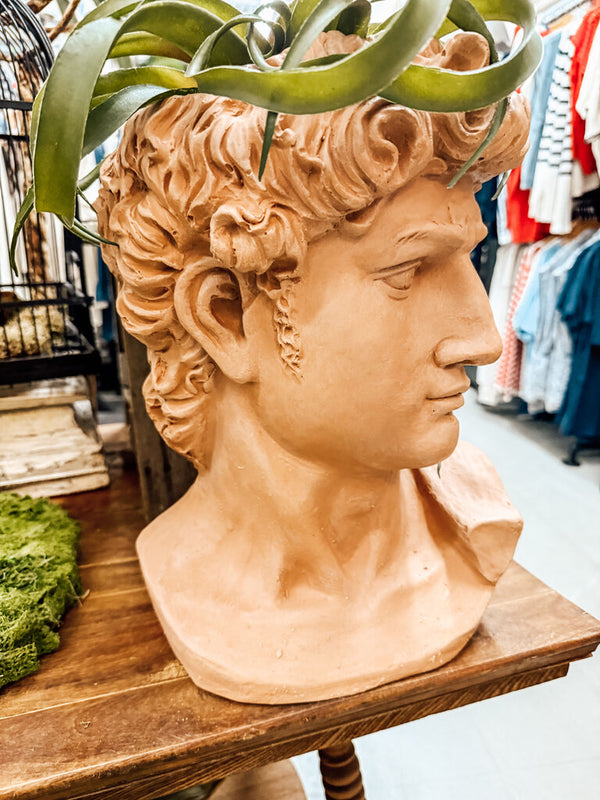 Large Terra Cotta painted David Bust
