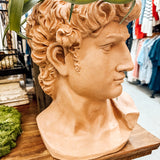 Large Terra Cotta painted David Bust