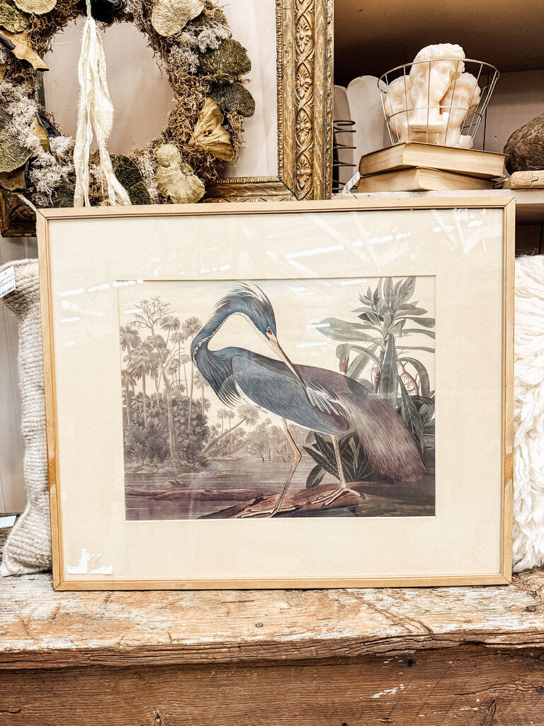 Framed Audubon Print-Blue Heron