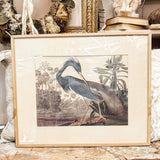 Framed Audubon Print-Blue Heron