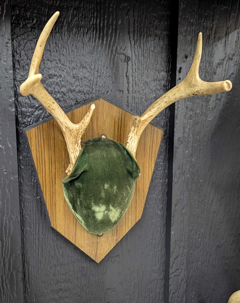 Antler mount with green velvet