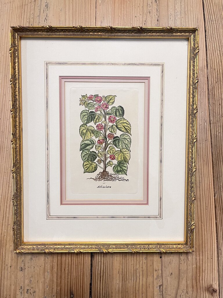 gold framed floral art