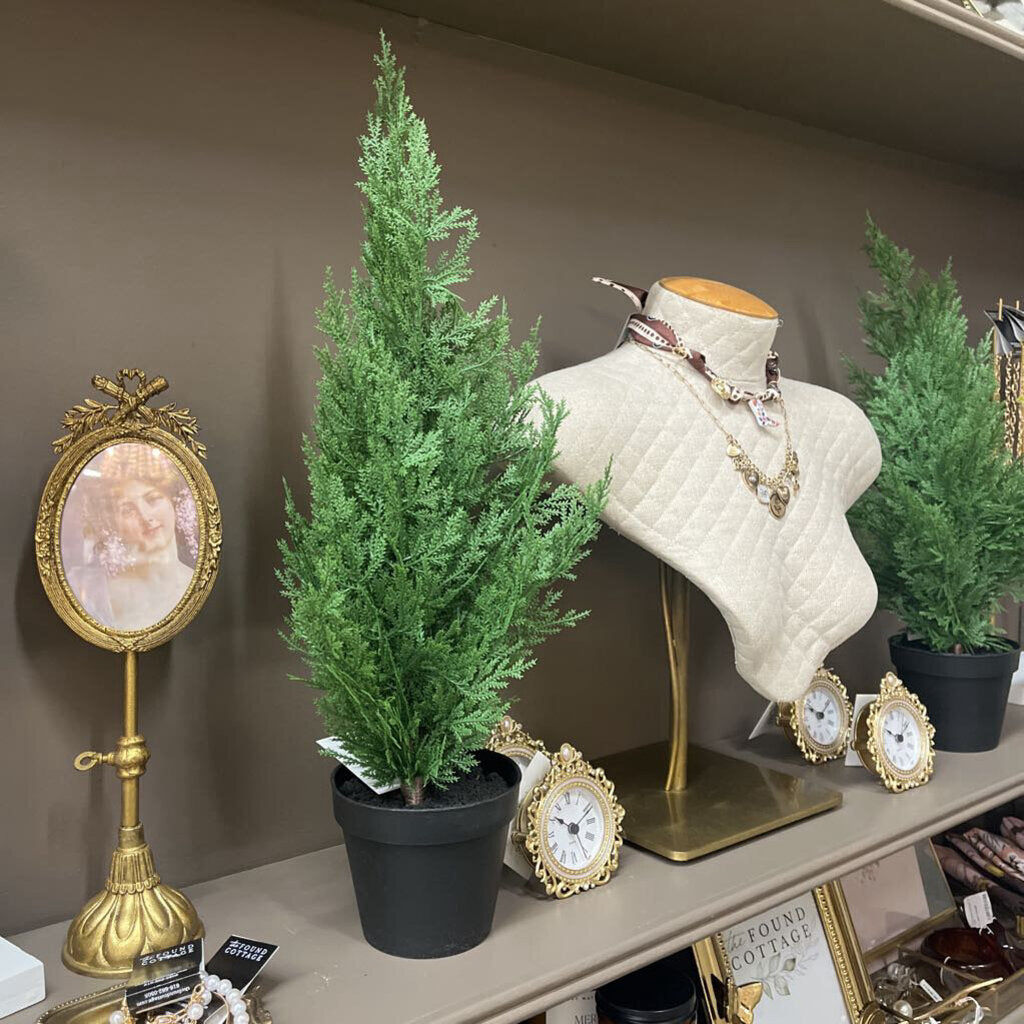 21" fresh touch cedar tree in plastic pot