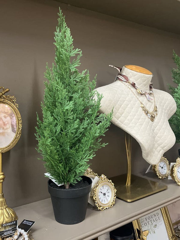 21" fresh touch cedar tree in plastic pot