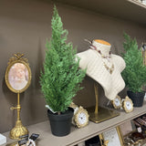 21" fresh touch cedar tree in plastic pot