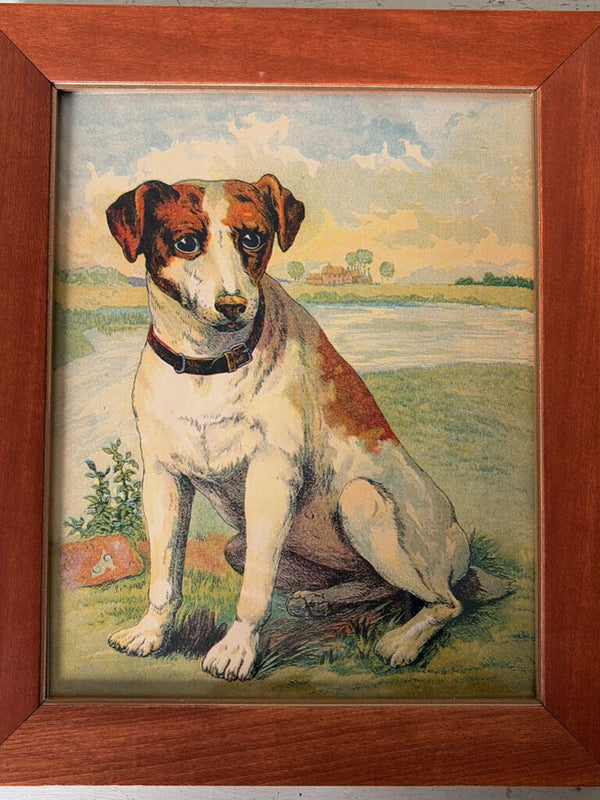 8"x10" vintage dog children's book illustration