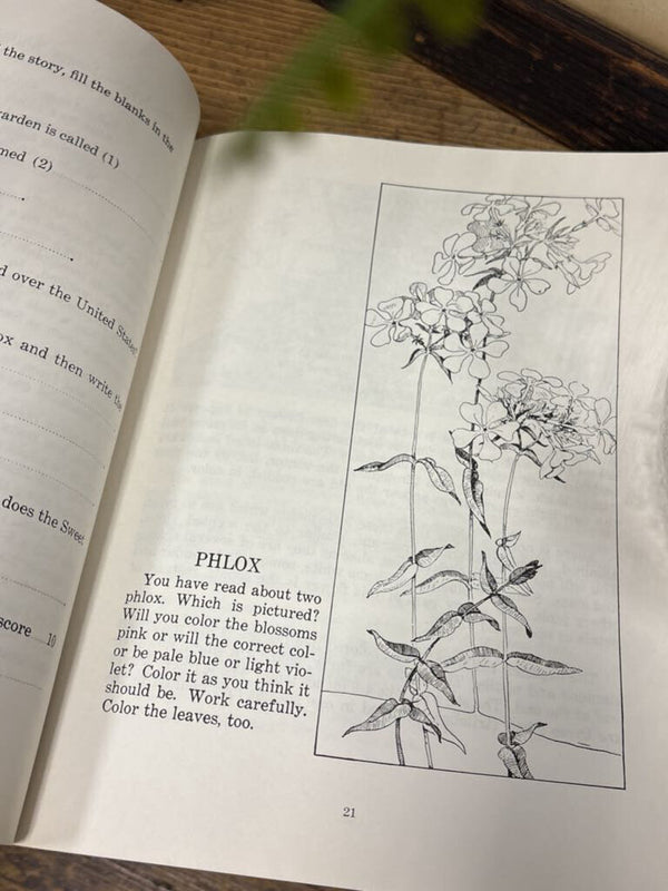 Wildflowers Activity Book