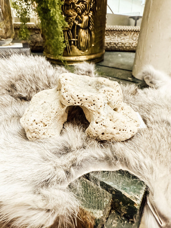 Coral specimen