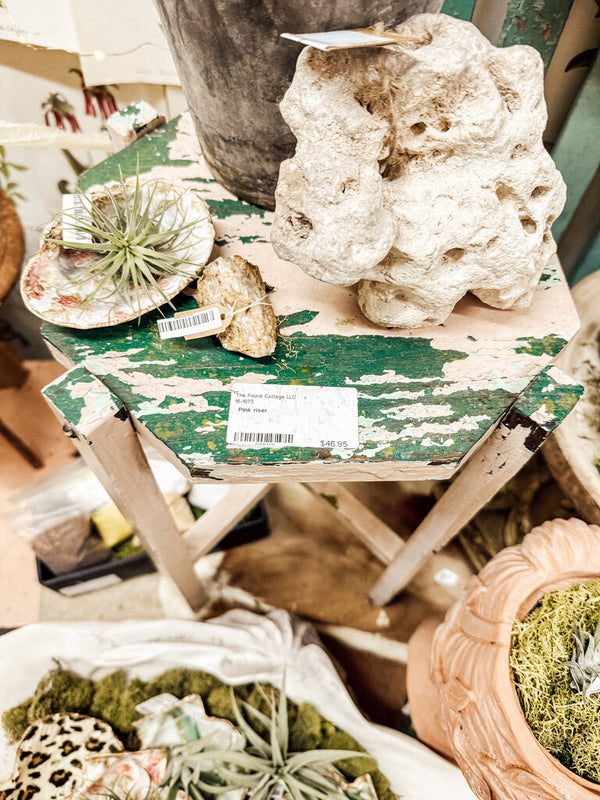 Large coral specimen