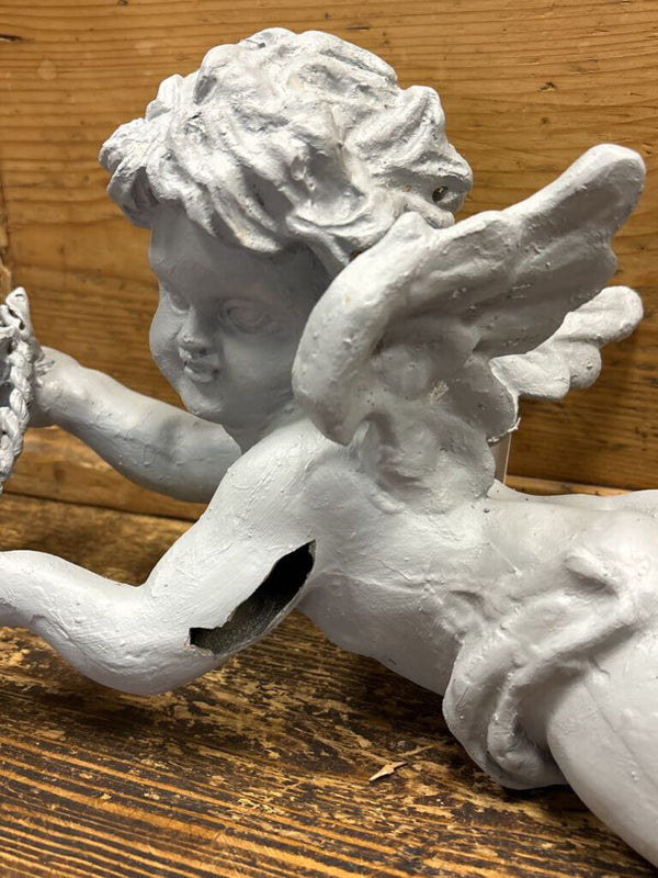 Gray Cherub