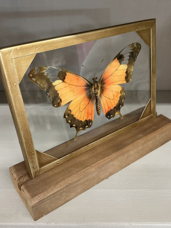 orange butterfly glass and wood decor