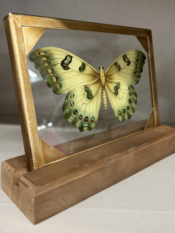 light green butterfly glass and wood decor