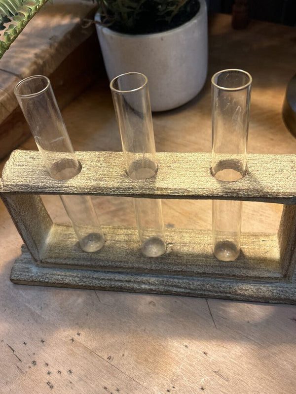 Test Tube Vase