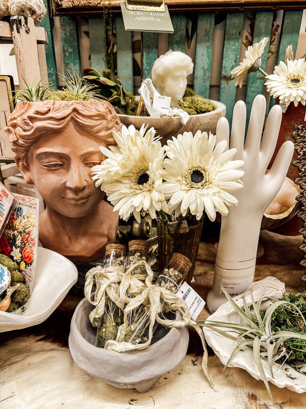 Daisy with short stem