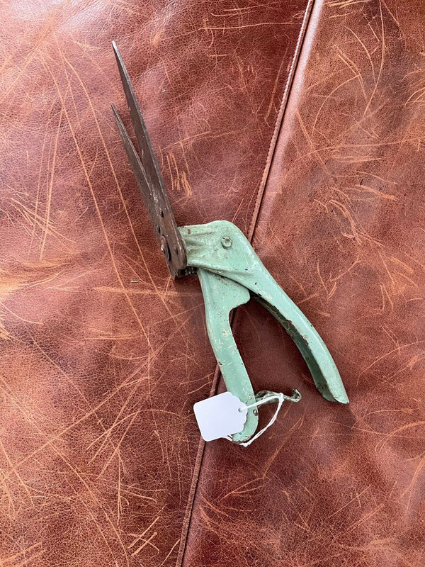 Vintage green Garden shears