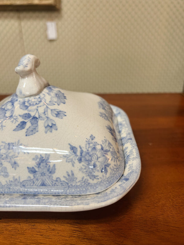 19th Century English Pottery - Asiatic Pheasants - Sm Square Covered Dish