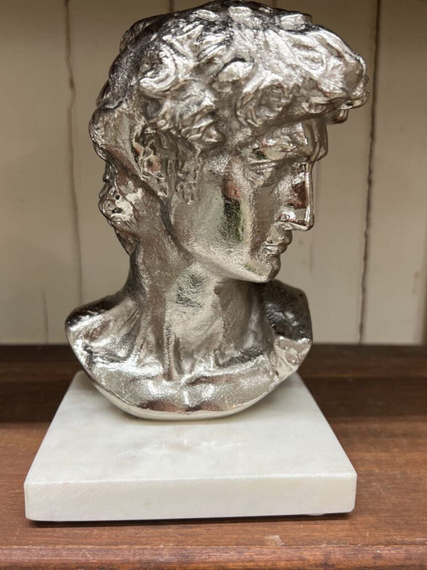david bust