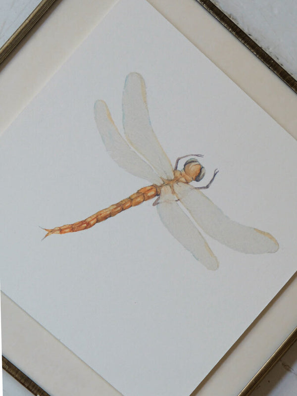 Dragonfly Art Print (6x6)