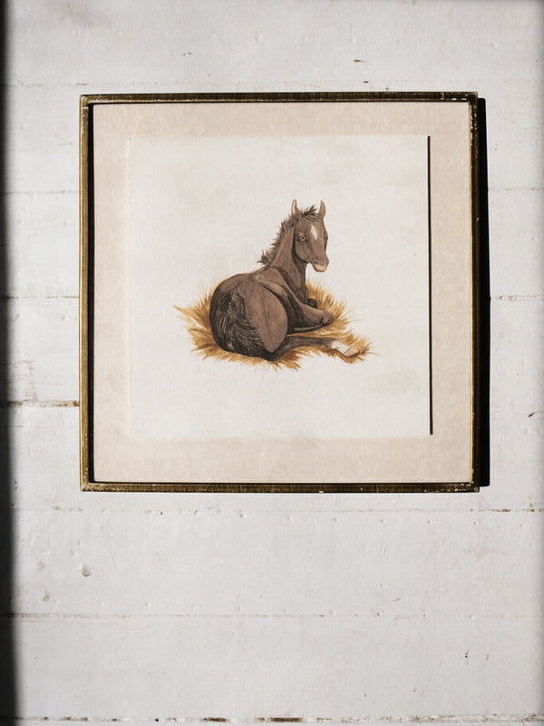 Resting Foal Art Print (6x6)