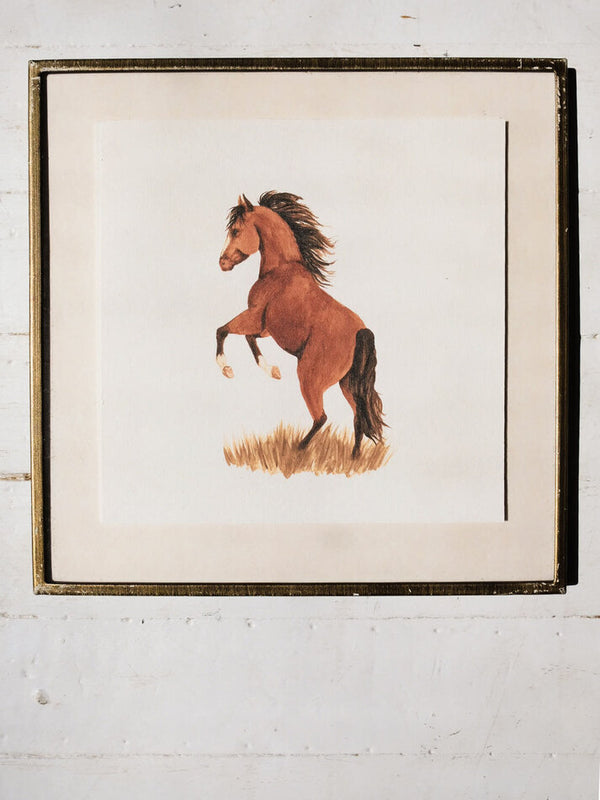 Rearing Bay Art Print (6x6)