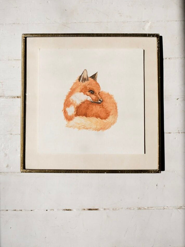Curled Up Fox Art Print (6x6)