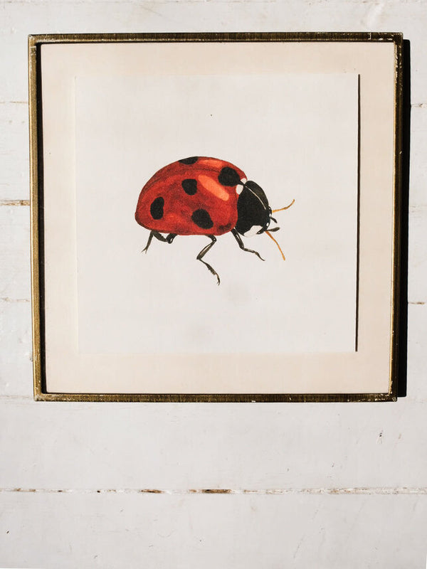 Ladybug Art Print (6x6)