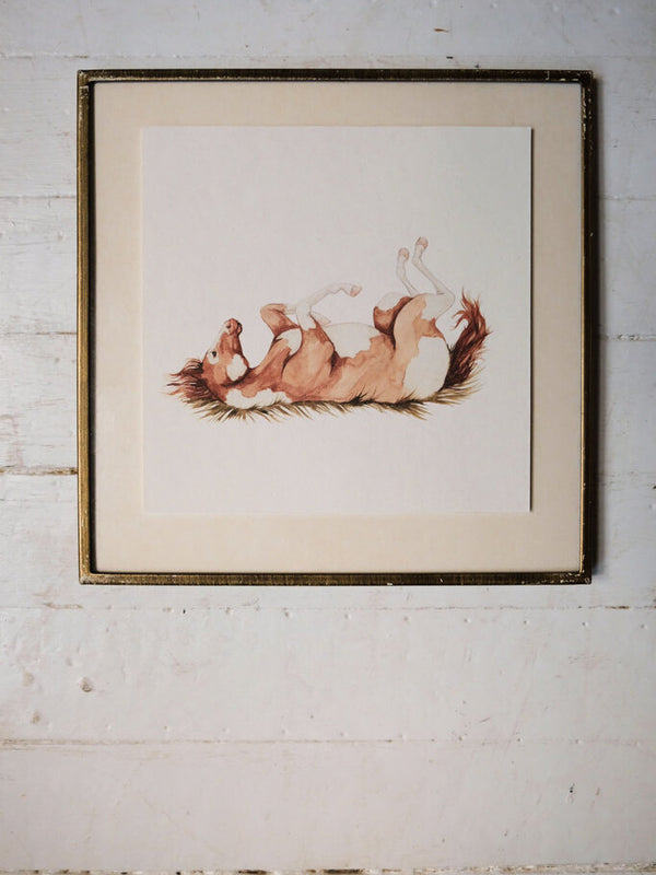 Rolling Pinto Art Print (6x6)