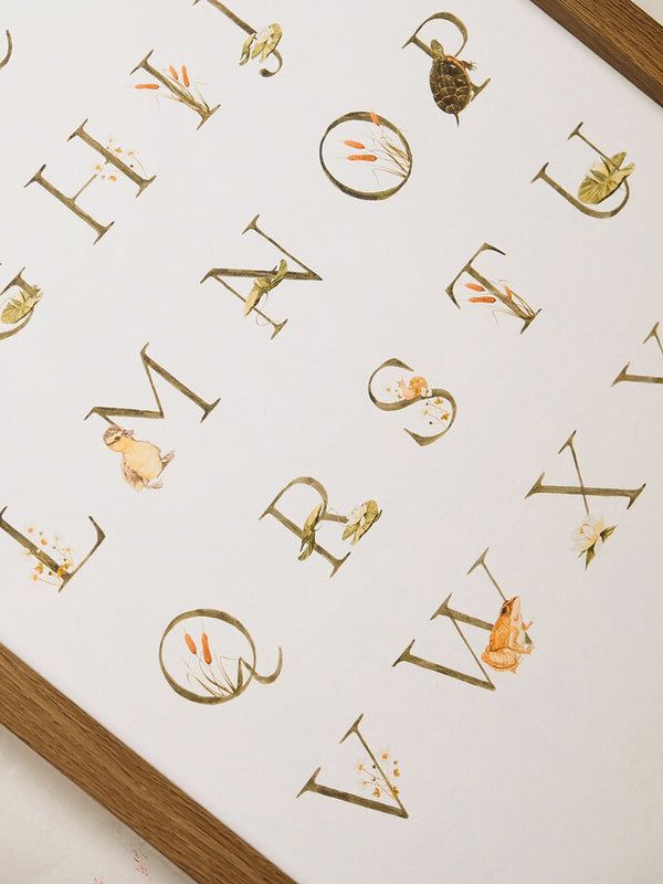 Pond Alphabet Print (12x18)