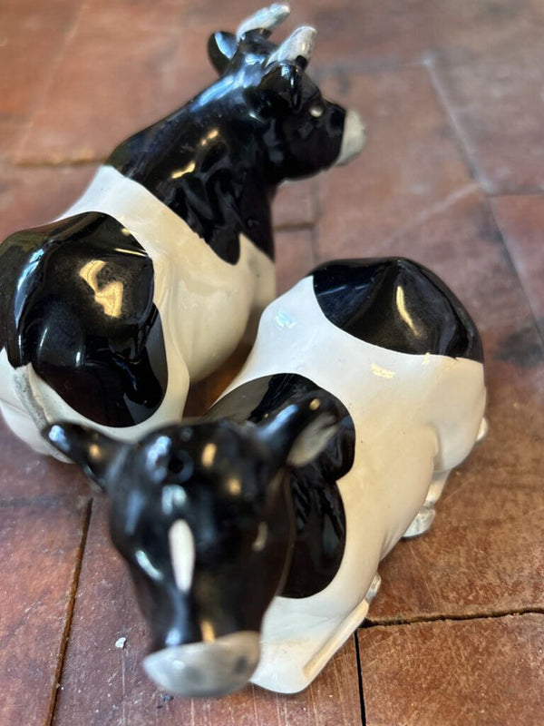 Farm Country Salt and Pepper Shakers