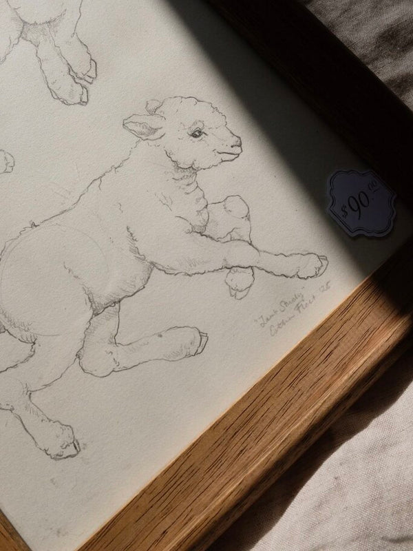 Frolicking Lambs Study (ORIGINAL Framed Sketch)