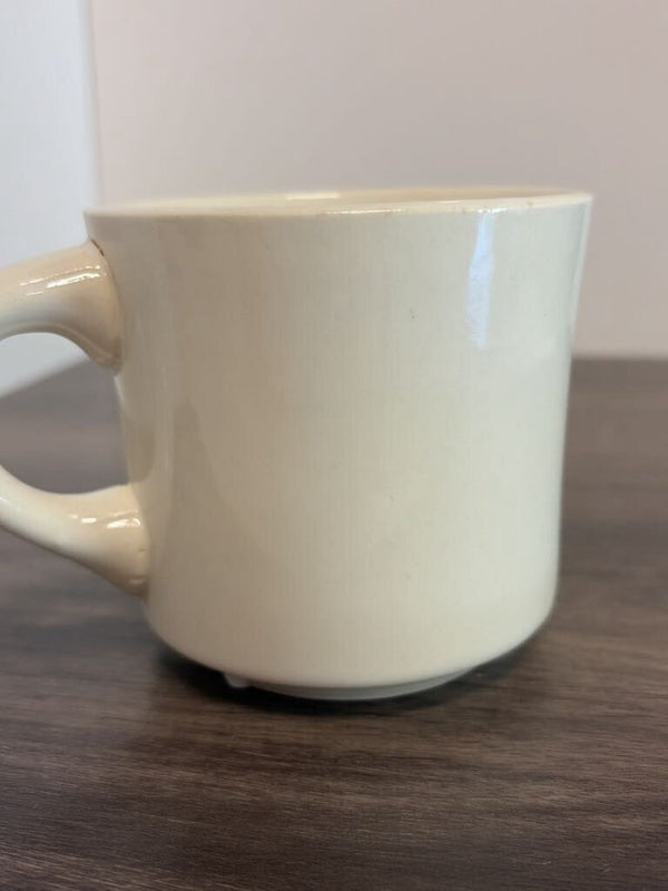 Chief Scout Of The World Mug