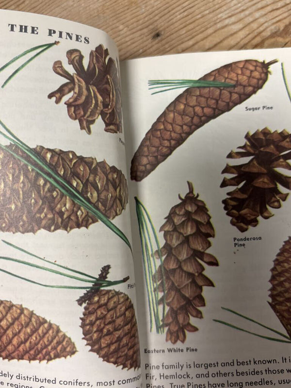 Trees Pocketbook