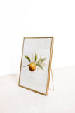 5x7 Brass & Glass Photo Frame