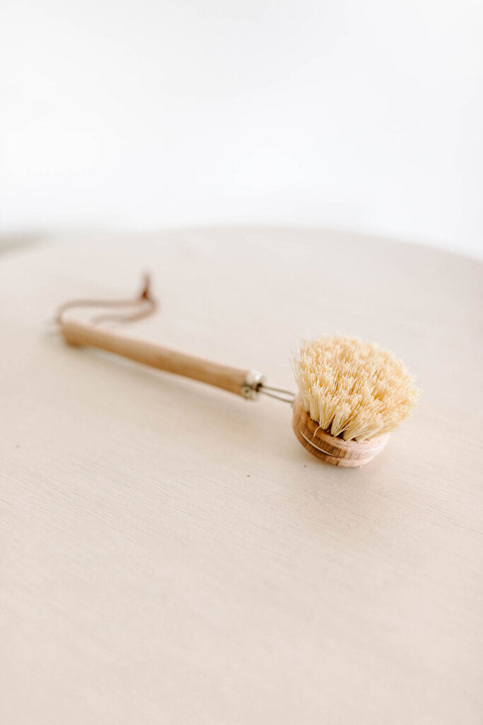 beechwood dish brush