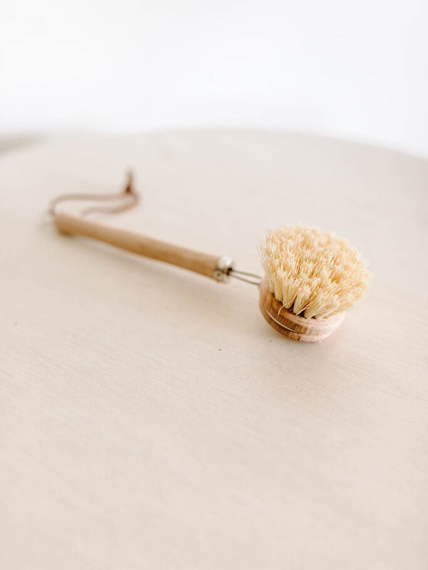 beechwood dish brush