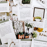 31 Cozy Home Ideas