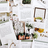 31 Cozy Home Ideas