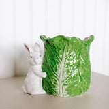Green Cabbage Container with Bunny