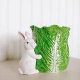 Green Cabbage Container with Bunny
