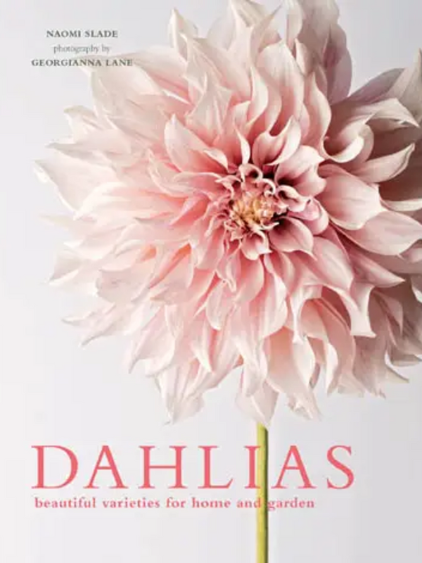 Dahlias; Beautiful Varieties For Home & Garden