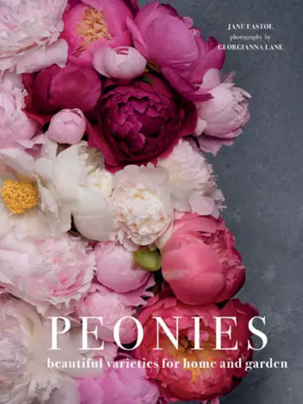 Peonies: Beautiful Varieties For Home & Garden