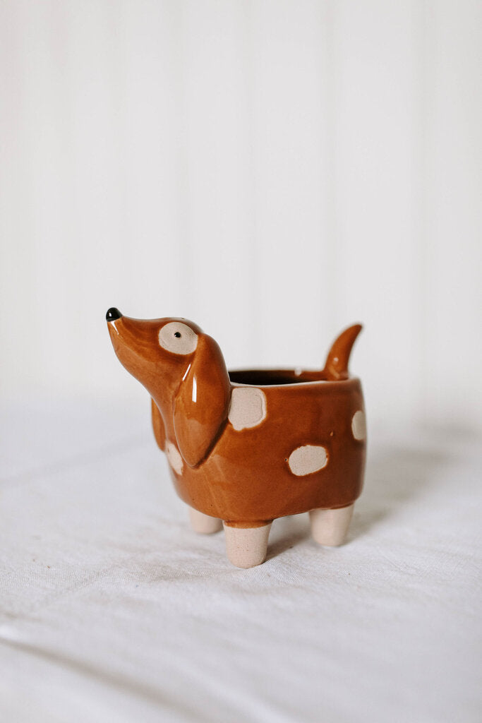 small dog planter