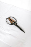 Garden Scissors - Large