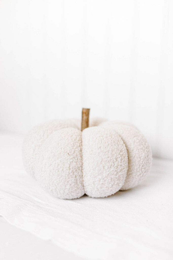 Cream Pumpkin with Birch Stem